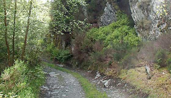 Mountainbike routes Bikewales route 5