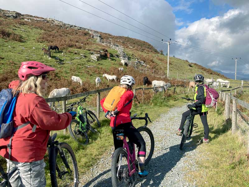 group cycle tours